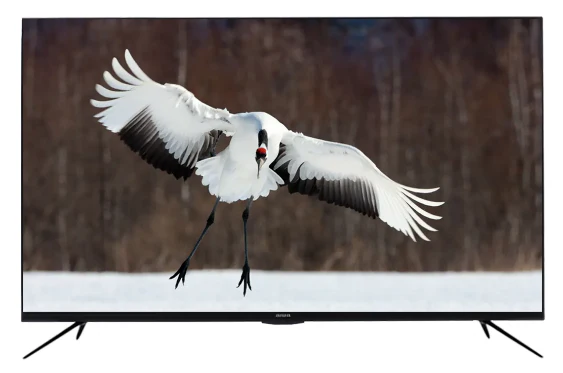 AIWA 55" WS-558G Frameless 4K HDR WebOS Smart TV Aiwa TV / smart tv - Image 2