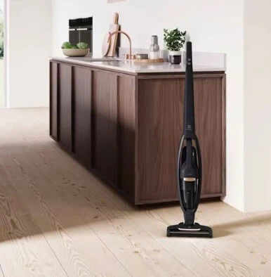 Electrolux WQ61-10GG Well Q6 Cordless Vacuum Cleaner - Image 6