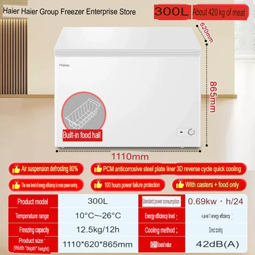 Haier BCBD-300GHP Commercial Freezers 300 Litres 1Yr Warranty Commercial Use - Image 3
