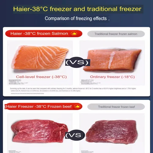 Haier 429-GH-PT Commercial Freezers 429 Litres -38°C 1Yr Warranty Commercial Use - Image 8