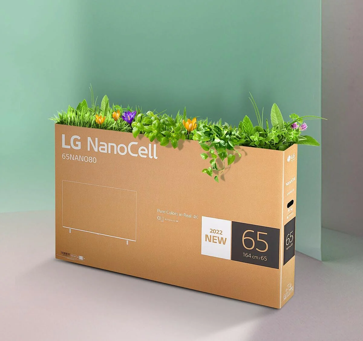 LG 65NANO75SQA.ATC 65" NANO75 4K UHD NANOCELL SMART TV - Image 5
