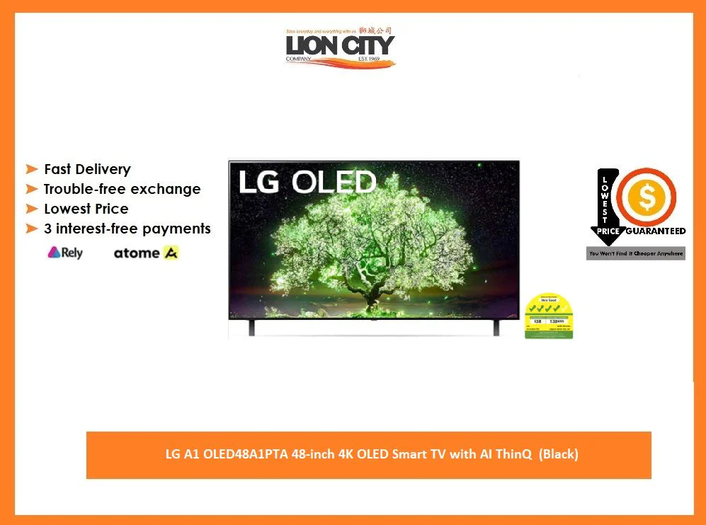 LG A1 OLED48A1PTA 48-inch 4K OLED Smart TV with AI ThinQ  (Black)