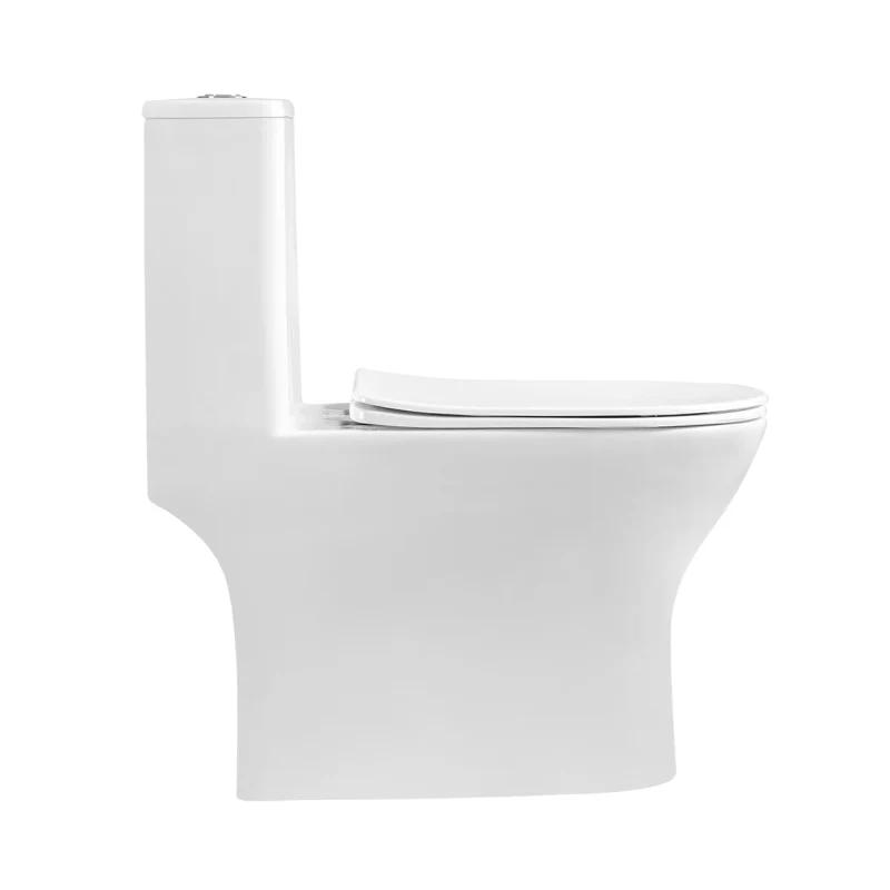 Rubine PF 106 Piz Fora Rimless One-Piece Toilet - Image 4