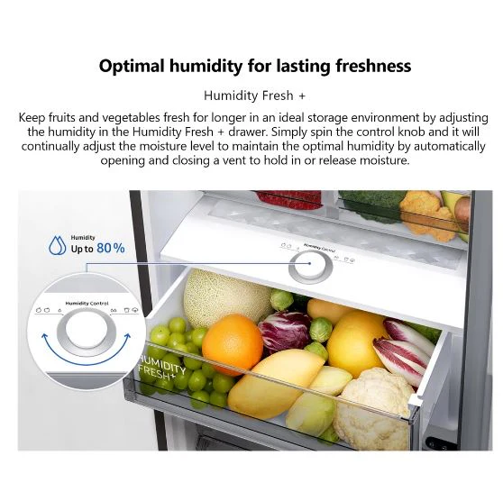 Samsung RB34T6054B1/SS SpaceMax ™ Refrigerator Bottom Freezer Refrigerator (325L) - Image 5